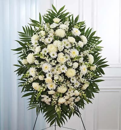 A beautiful white floral standing spray arranged by a local florist for hand delivery, to send your thoughts of care and concern. Created with seasonal white flowers including roses, snapdragons, carnations and football mums. This sympathy standing spray is arranged on a wire stand and is a perfect gift to send to a family member or friend who recently lost a loved one. Delivery today is available. Medium (shown) measures approximate 46