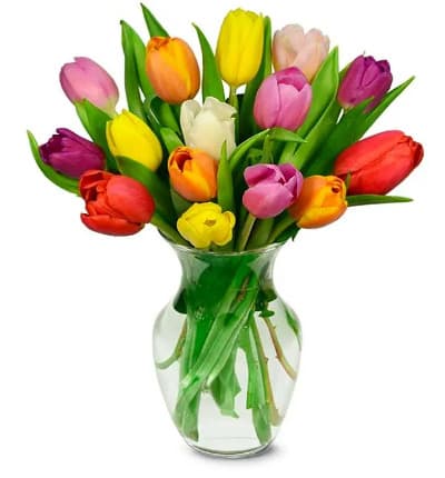 * Seasonal 15 Tulips
* Variety of Colors