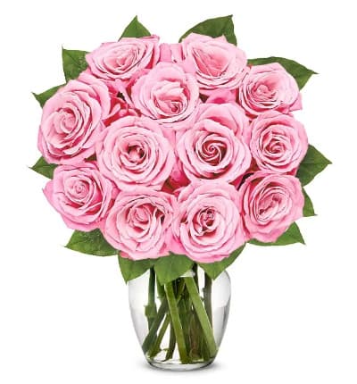 * 12 Light Pink Roses