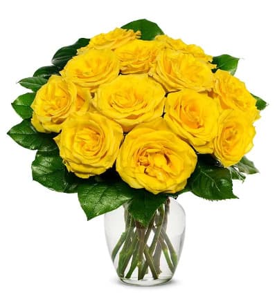*12 Yellow Roses