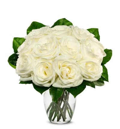 12 White roses