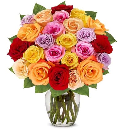 24 multi color roses