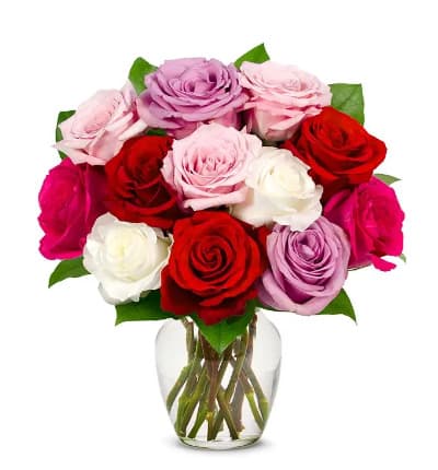 * Pink Roses
* Red Roses
* Purple Roses
* White Roses