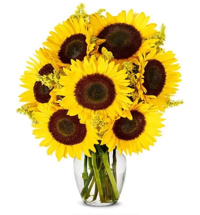 * Yellow Sunflowers
* Golden Solidago