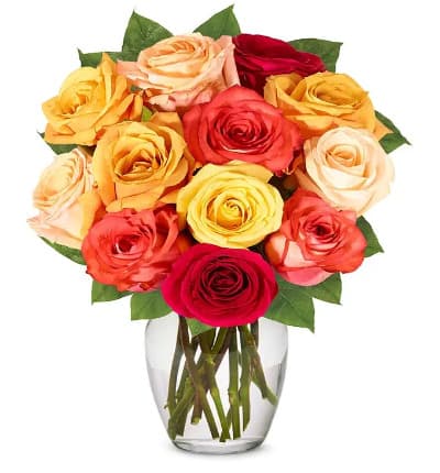 12 roses * Orange Roses
* Red Roses
* Yellow Roses (Color may vary based on availability)