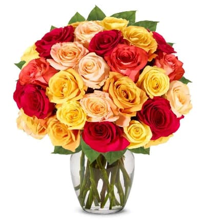 24 roses * Orange Roses
* Red Roses
* Yellow Roses (Color may vary based on availability)