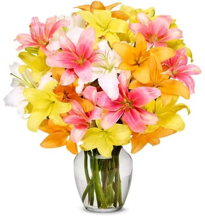 10 * Pink Lilies
* Orange Lilies
* Yellow Lilies