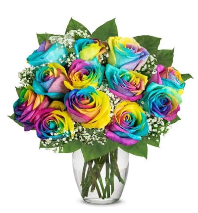  12 Wild Rainbow Roses