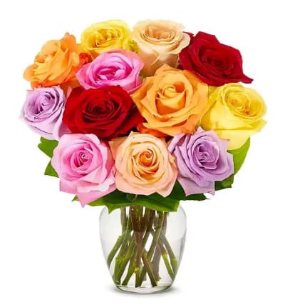 12 Rainbow Roses