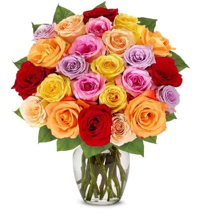 Because two dozen roses are better than one, send a special someone 24 assortment of roses to dazzle her day!

Includes:
* Long Stem Rose Variety
* Personalized Card Message
* 100% Satisfaction Guaranteed