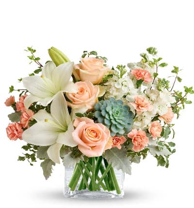 * Peach Roses
* White Asiatic Lilies
* Peach Mini Carnations
* White Stock
* Pitta Negra
* Dusty Miller
* Green Echeveria Succulent
* Glass Cube Vase