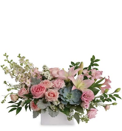 This chic arrangement is the ideal gift for any trendsetter in your life! Delicate pastel pinks and a sophisticated succulent come together in a perfectly harmonious, ultramodern floral display!

Approximate arrangement Height 21