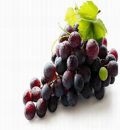 Purple Grapes Small