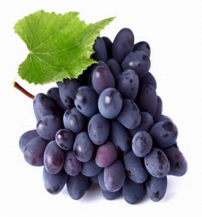 Purple Grapes Large