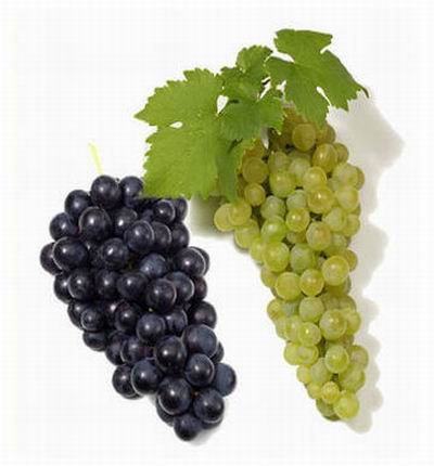Grape Set. 1 green grapes and 1 purple grapes.