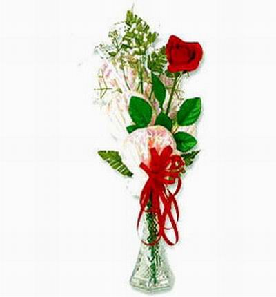 One single rose in small vase